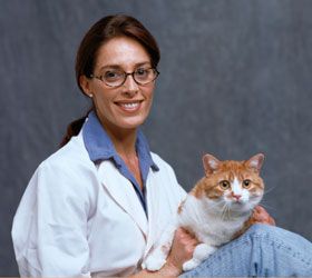 Villalbilla Clínica Veterinaria mujer cargando gato